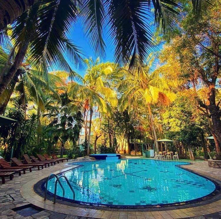 Hotel Eden Garden Σιγκιρίγια Εξωτερικό φωτογραφία