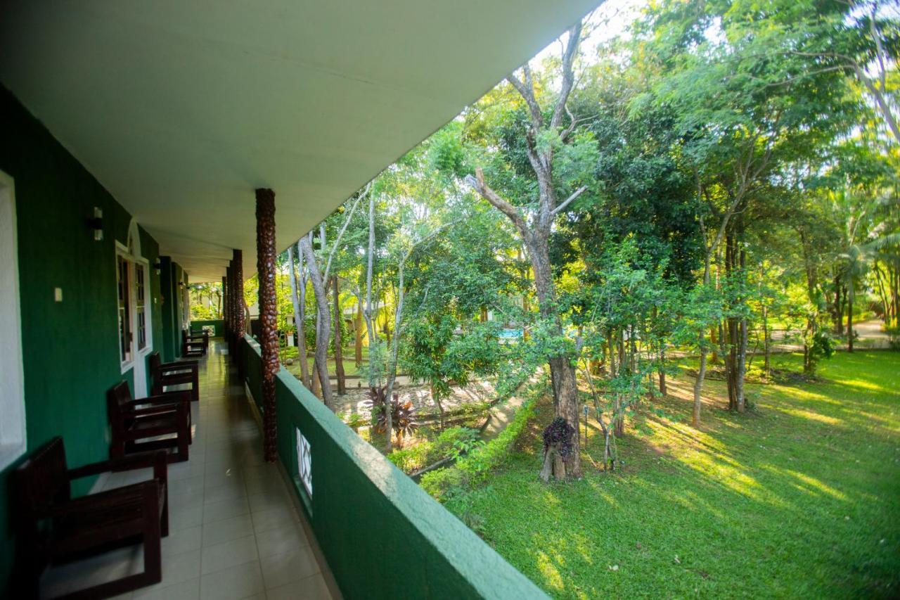 Hotel Eden Garden Σιγκιρίγια Εξωτερικό φωτογραφία