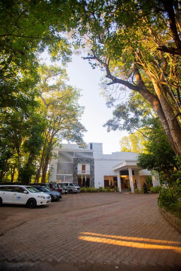 Hotel Eden Garden Σιγκιρίγια Εξωτερικό φωτογραφία