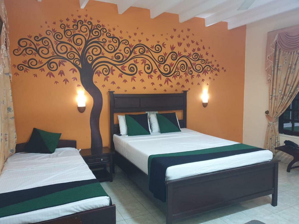 Hotel Eden Garden Σιγκιρίγια Εξωτερικό φωτογραφία